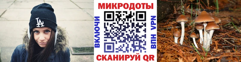 Галлюциногенные грибы Magic Shrooms  цены наркотик  Бирюсинск 
