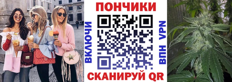где можно купить наркотик Бирюсинск Каннабис план